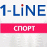 Новосибирская область подготовилась к празднованию Дня физкультурника - 1-LINE