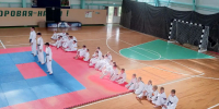 Новые вершины в каратэ - Сосновоборский район