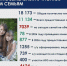 До конца года землей планируют обеспечить 2,4 тыс. многодетных семей - ИА Татар-информ