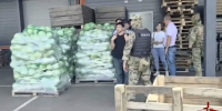 В Воронеже при содействии Росгвардии проведены профилактические мероприятия по выявлению нарушений миграционного законодательства - Росгвардия