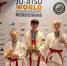 Результаты тульских спортсменов на чемпионате мира по джиу-джитсу - Министерство спорта