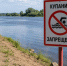 Купание запрещено / Купание / Река / Вода / Изображение сгенерировано ИИ ChatGPT / amic.ru - ИА Амител