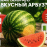 Калужанам рассказали, как выбрать вкусный и качественный арбуз - Телерадиокомпания Ника