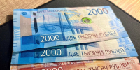 Владельцам изъятых из-за АЧС свиней на Ставрополье ускорят выплаты - ATVmedia.Ru