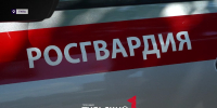Росгвардейцы обеспечили порядок на матче «Арсенал»-«Торпедо» 2 августа - ТК Первый Тульский
