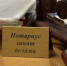 "Нотариус занят делами". В Петербурге сорвали аферу с участком на 180 миллионов рублей - 47 новостей