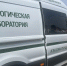 «Экостражи» в деле: как Ивангород отметил День рождения Ленинградской области! - Комитет экологического надзора