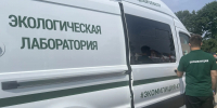 «Экостражи» в деле: как Ивангород отметил День рождения Ленинградской области! - Комитет экологического надзора
