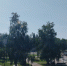 Тольяттинская филармония откроет двери после летнего перерыва - TLT.Ru
