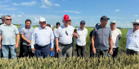 Аграрии Яльчикского округа обсудили готовность к уборочной на семинаре в «Урожае» - Единая Россия