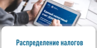Распределение налогов физического лица и ИП  с единого налогового счета - Давлекановский район