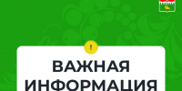 Архангельский бизнес переходит на цифровые накладные: новые правила грузоперевозок. - Котласский МО