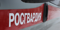 В Челябинской области росгвардейцами по горячим следам задержан подозреваемый в грабеже - Росгвардия