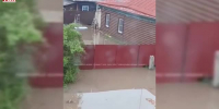 Видео - ТВН