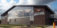 Болельщики могут пройти бесплатно на 2 матча «Бурана» с ХК «Кристалл» в Воронеже - РИА Воронеж