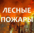 Лесной пожар №46 обнаружен 03.08.2026г в 16:20  26 км от п. Куромба, S-0,1 Га. Тейское  лесничество, угрозы н.п нет. Причина: Гроза. - Северо-Енисейский муниципальный округ