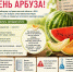 Как выбрать безопасный арбуз и дыню - Сетевое издание Коноша29