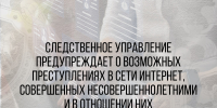 Следственное управление предупреждает о возможных преступлениях в сети Интернет, совершенных несовершеннолетними и в отношении них - Следственный комитет