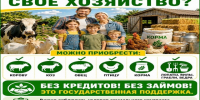 Развивайте хозяйство с господдержкой: без кредитов и возврата средств!. - Юргамышский муниципальный округ