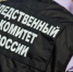 Жительницу Ростова будут судить за пьяную поножовщину - Панорама