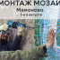 В Мамоново активисты призывают спасти мозаику на территории бывшего зверосовхоза - NewKaliningrad.Ru
