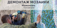 В Мамоново активисты призывают спасти мозаику на территории бывшего зверосовхоза - NewKaliningrad.Ru