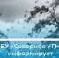 Метеопредупреждение. - Холмогорский муниципальный округ