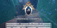 Следственными органами СК России по Брянской области завершено расследование уголовного дела по факту оказания услуг, повлекших травмирование несовершеннолетнего - Следственный комитет