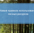 Новые правила использования лесных ресурсов с 2026 года. - Город Людиново и Людиновский район