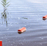 Трагедия в Скрябино: водолазы нашли тело мужчины в карьере - БрянскToday.Ru