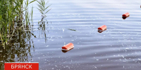Трагедия в Скрябино: водолазы нашли тело мужчины в карьере - БрянскToday.Ru