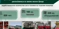С начала пожароопасного сезона ликвидировали 64 лесных пожара в Ленобласти - Online47.Ru