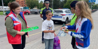 С 17 по 23 августа 2026 г. на территории г.о. Домодедово проводится профилактическое мероприятие «Пешеходный переход» - Администрация г. Домодедово