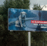 Не выбрасывай! В Оренбурге запустили кампанию в защиту собак и кошек - Yuzh-Ural.Ru