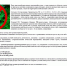 Памятка населению по выявлению и уничтожению очагов дикорастущих наркосодержащих растений, об ответственности за незаконное культивирование и непринятие мер по их уничтожению. - Пугачёвский район