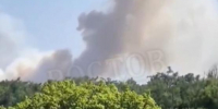 Сухостой загорелся под Ростовом - Панорама