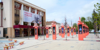 Почти тысячу цветов подсадили озеленители к красным клёнам в Ульяновске - Комсомольская правда