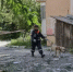 Жителям поврежденного в Гуково дома помогут с компенсацией или новым жильем - DonDay.Ru