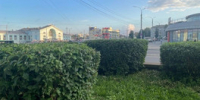 В Кирове ухаживают за клумбами, кустарниками и деревьями - Свойкировский.рф