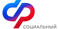 Более 80 самозанятых пензенцев перечисляют добровольные взносы на страхование по нетрудоспособности - Камешкирский район