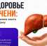 С 27 июля по 02 августа проходит неделя профилактики заболеваний печени (в честь Международного дня борьбы с гепатитом 28 июля) - Газета Терская Новь