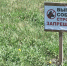 В Барнауле соседки подрались из-за газона и дошли до суда - Сетевое издание Толк