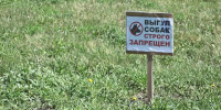 В Барнауле соседки подрались из-за газона и дошли до суда - Сетевое издание Толк