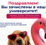 Поздравляем, вы поступили в Технологический! - Технологический университет