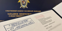 По результатам личного приема руководителя Западного МСУТ СК России возбуждено уголовное дело по факту гибели парашютиста в Московской области - Западное следственное управление на транспорте