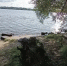 11-летний мальчик утонул в Костроме - Kostroma.Today