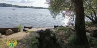 11-летний мальчик утонул в Костроме - Kostroma.Today