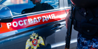 Росгвардейцы пресекли кражу из супермаркета в Подмосковье (видео) - Росгвардия