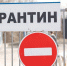 Карантин по бешенству ввели в Михайловке - Газета Городские вести