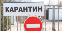 Карантин по бешенству ввели в Михайловке - Газета Городские вести